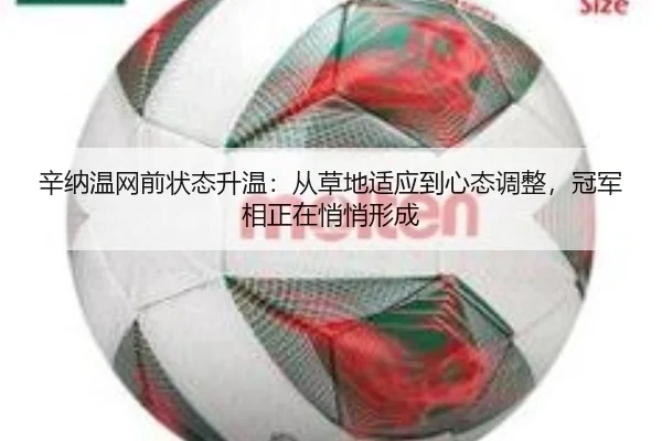 辛纳温网前状态升温：从草地适应到心态调整，冠军相正在悄悄形成